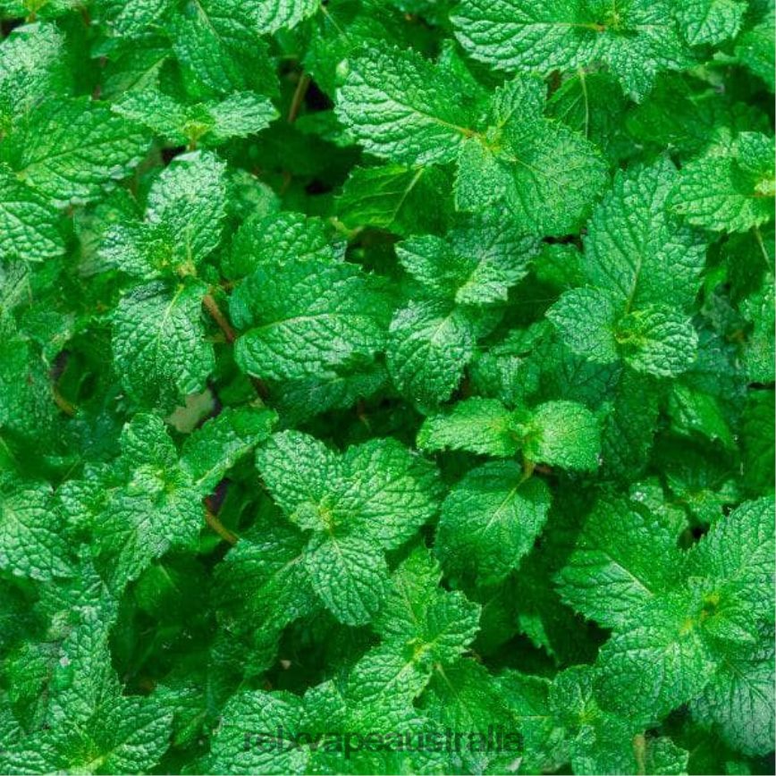 RELX MagicGo GA600 Menthol Plus TTLZ41 RELX Store Melbourne